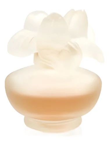 Rose Nuage