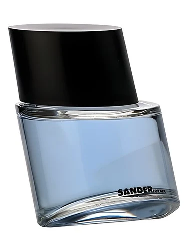 Sander for Men