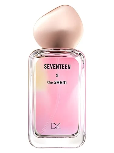 Seventeen X DK