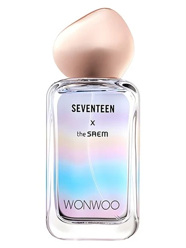 Seventeen X Wonwoo