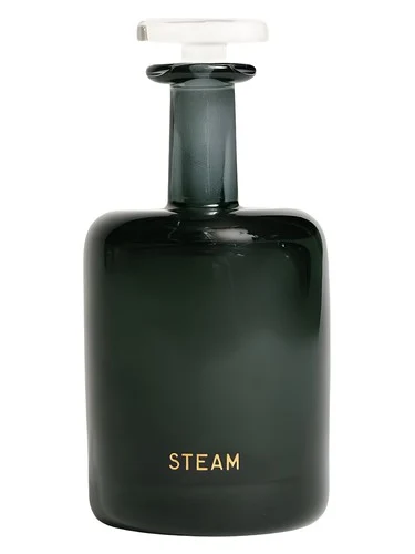 Steam