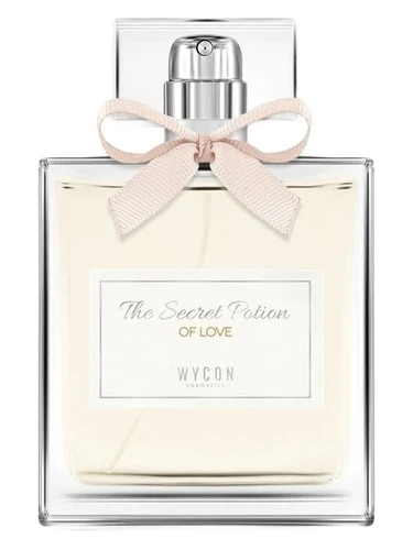The Secret Potion of Love