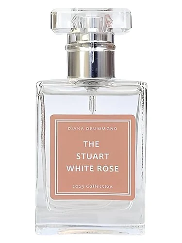 The Stuart White Rose