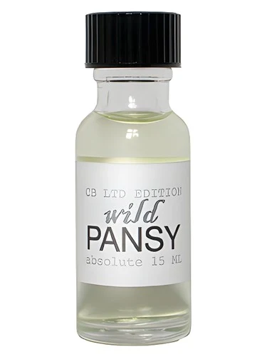Wild Pansy