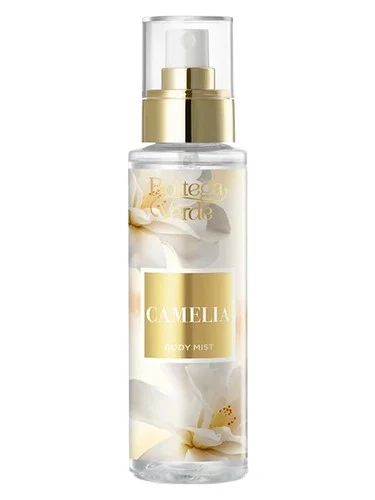 Winter Camellia