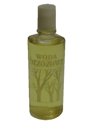 Woda brzozowa