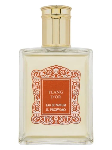 Ylang D'Or