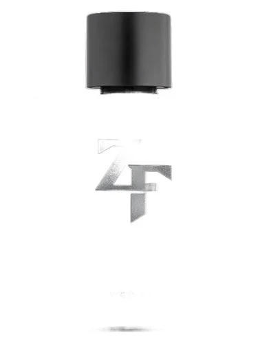 ZF Zé Felipe